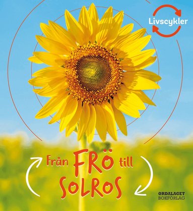 Camilla De la Bédoyère - Från frö till solros, Inbunden