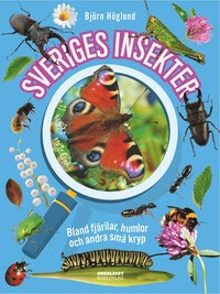 bokomslag Sveriges insekter :  bland fjärilar, humlor och andra små kryp