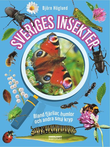 bokomslag Sveriges insekter :  bland fjärilar, humlor och andra små kryp