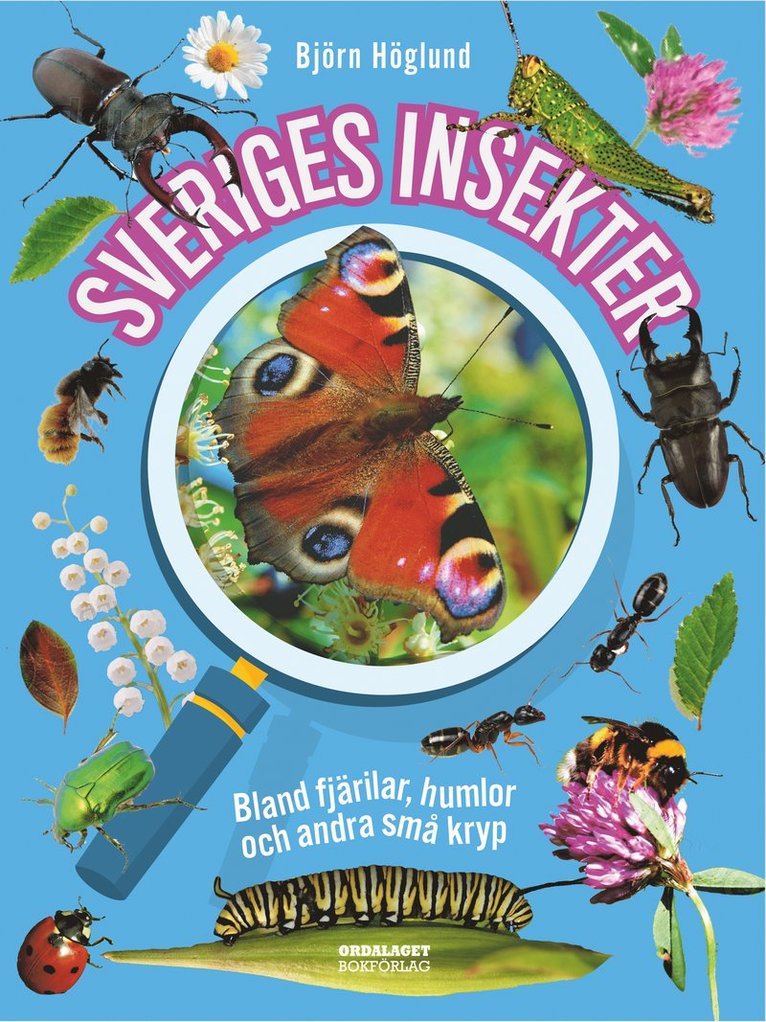 Björn Höglund - Sveriges insekter :  bland fjärilar, humlor och andra små kryp, Inbunden