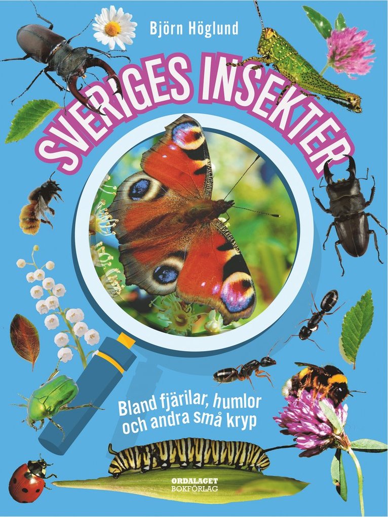 Sveriges insekter :  bland fjärilar, humlor och andra små kryp 1