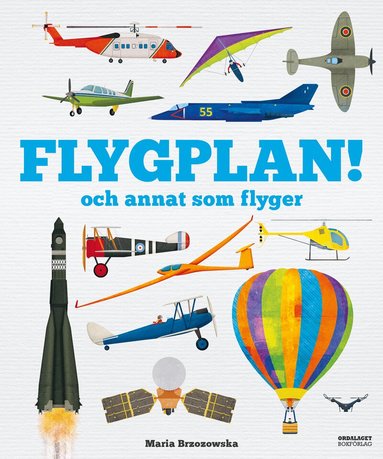 Bryony Davies - Flygplan! och annat som flyger, Inbunden