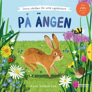 Anne-Kathrin Behl - På ängen, Kartonnage