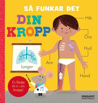 Amelia Hepworth - Så funkar det. Din kropp, Kartonnage
