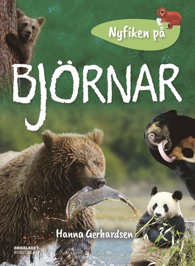 bokomslag Nyfiken på björnar