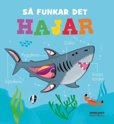 Molly Littleboy - Så funkar det : hajar, Kartonnage