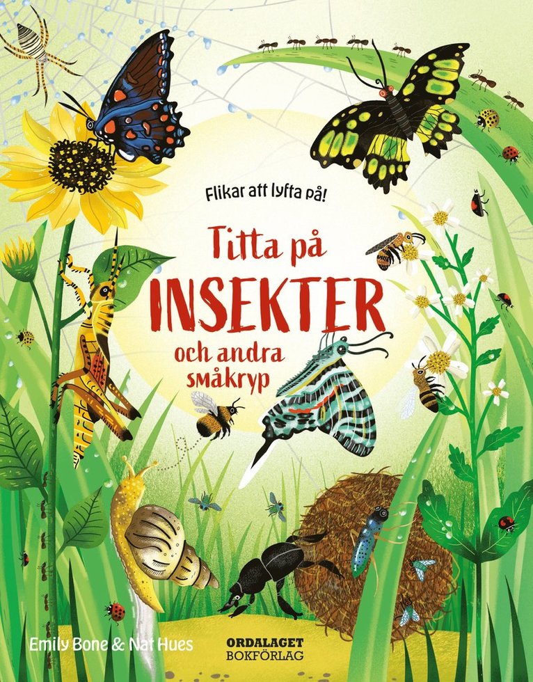 Titta på insekter och andra småkryp