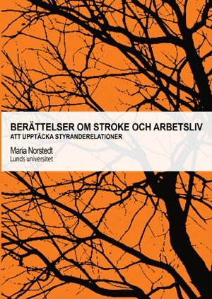 bokomslag Berättelser om stroke och arbetsliv