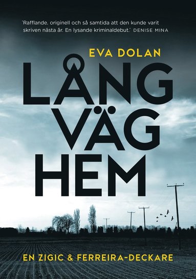 bokomslag Lång väg hem