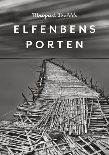 bokomslag Elfenbensporten