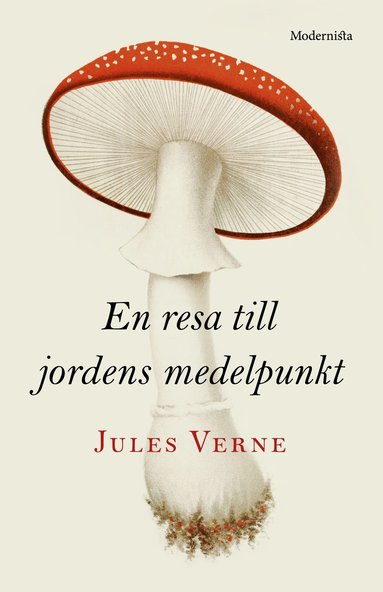 bokomslag En resa till jordens medelpunkt