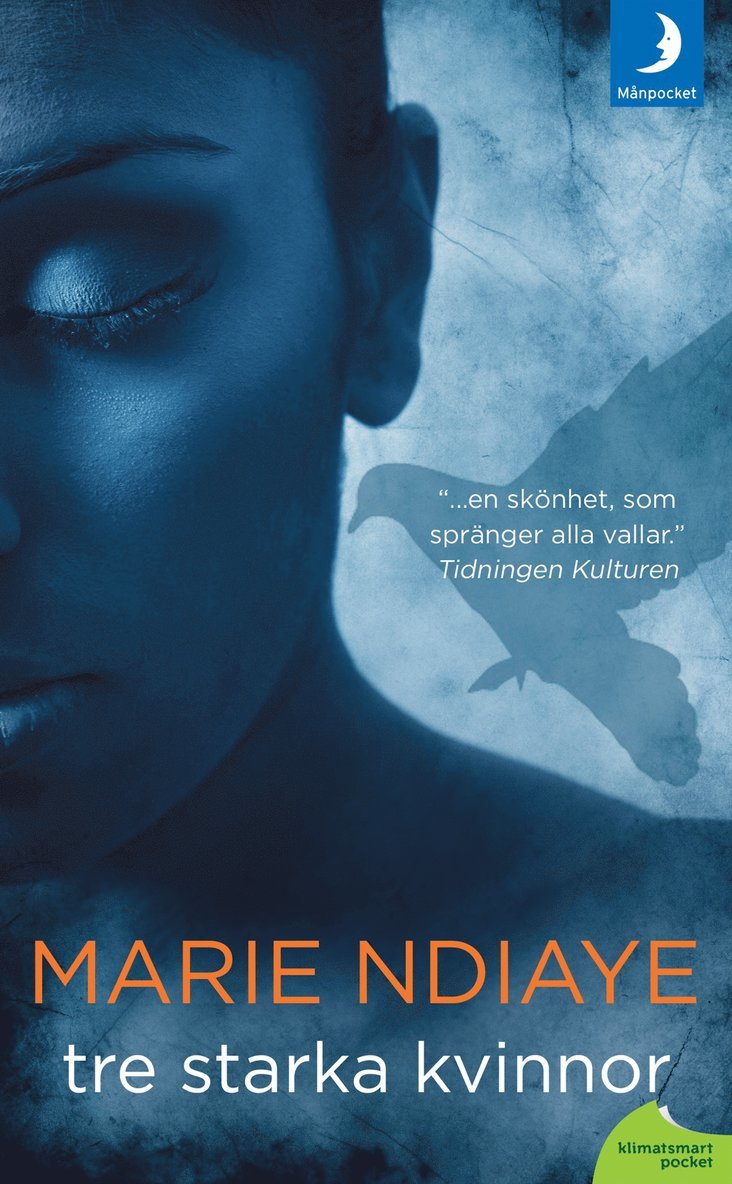 Marie NDiaye - Tre starka kvinnor, Pocket
