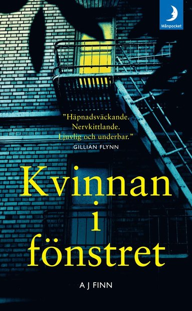 bokomslag Kvinnan i fönstret