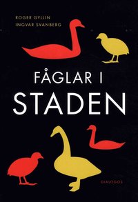 bokomslag Fåglar i staden