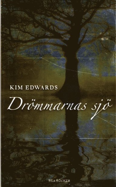 Kim Edwards - Drömmarnas sjö, Pocket