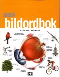 bokomslag Spansk bildordbok