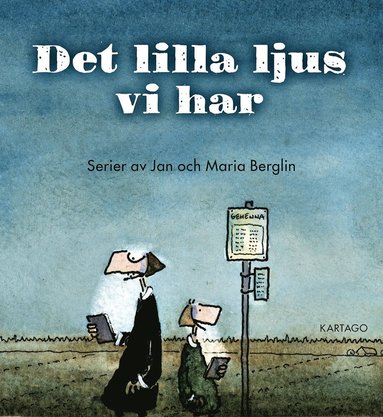 bokomslag Det lilla ljus vi har