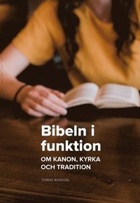 bokomslag Bibeln i funktion : Om kanon, kyrka och tradition
