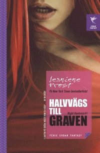 bokomslag Halvvägs till graven