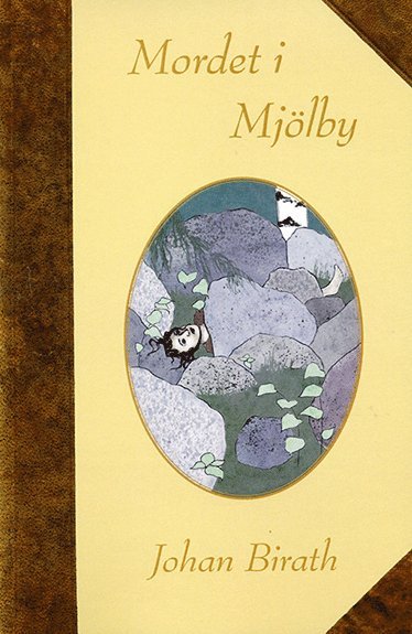 bokomslag Mordet i Mjölby : en dokumentärroman