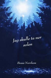 bokomslag Jag skulle ta ner solen