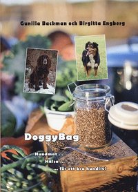 bokomslag DoggyBag : hundmat, hälsa, för ett bra hundliv