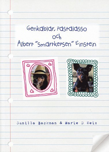 Genkablar, pastalasso och Albert "smartkepsen" Einstein 1