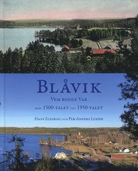 bokomslag Blåvik : vem bodde var - från 1500-talet till 1950-talet
