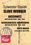 bokomslag Slave Worker