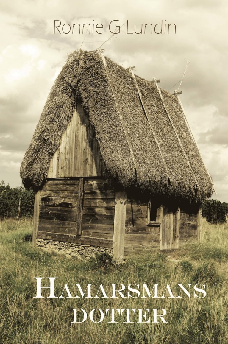 Ronnie G. Lundin - Hamarsmans dotter, Häftad
