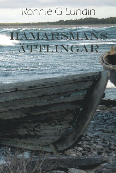 bokomslag Hamarsmans ättlingar