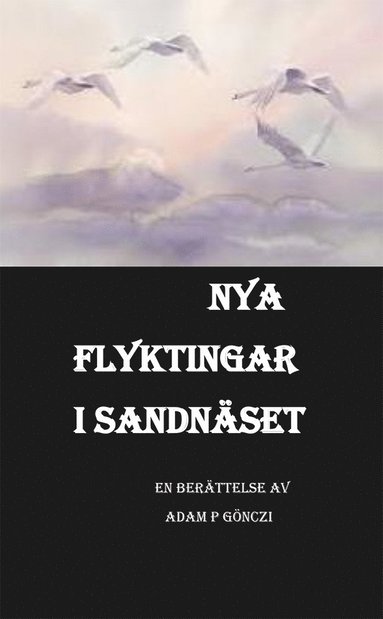 bokomslag Nya flyktingar i Sandnäset