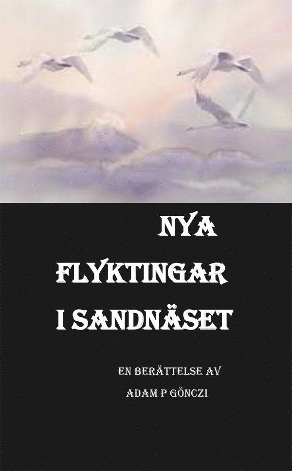 Adam P Gönczi - Nya flyktingar i Sandnäset, Häftad