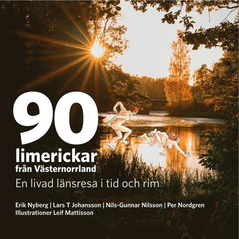 90 limerickar från Västernorrland, Inbunden