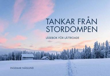 bokomslag Tankar från Stordompen : läsebok för lättroade