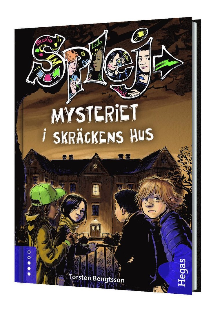 Mysteriet i skräckens hus
