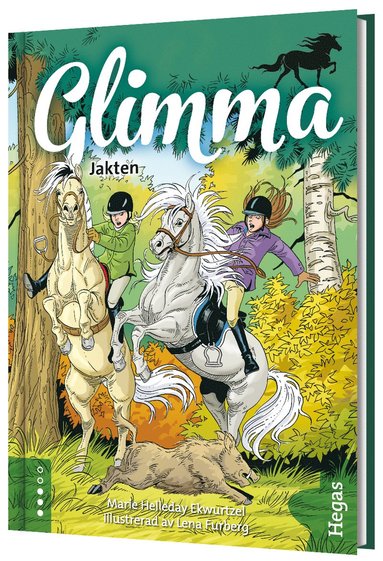 bokomslag Glimma. Jakten