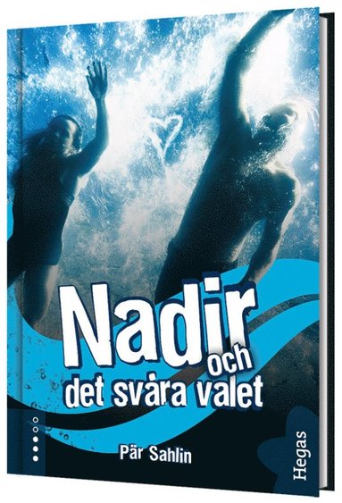 bokomslag Nadir och det svåra valet