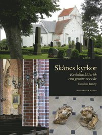 bokomslag Skånes kyrkor : en kulturhistorisk resa genom 1000 år