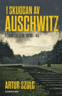 bokomslag I skuggan av Auschwitz : förintelsen 1939-45