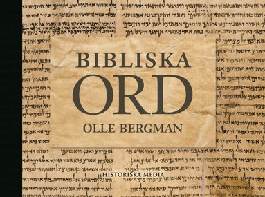 bokomslag Bibliska ord