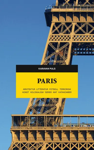 Paris : arkitektur, litteratur, fotboll, terrorism, konst, kolonialism, serier, mat, katakomber, Häftad