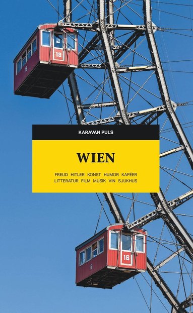 bokomslag Wien : Freud, Hitler, konst, humor, kaféer, litteratur, film, musik, vin, sjukhus