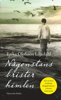 bokomslag Någonstans brister himlen