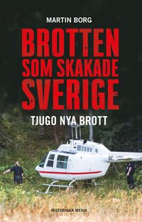 bokomslag Brotten som skakade Sverige : tjugo nya brott
