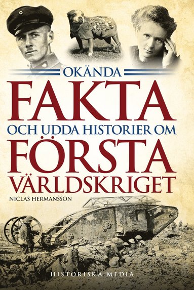 bokomslag Okända fakta och udda historier om första världskriget