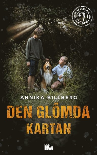 bokomslag Den glömda kartan