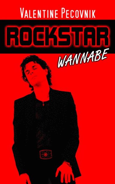 bokomslag Rockstar Wannabe