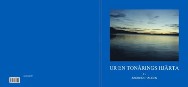 bokomslag Ur en tonårings hjärta