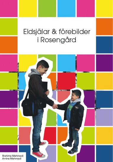 bokomslag Eldsjälar och förebilder i Rosengård